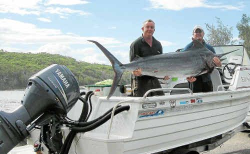 David Tasker and David Ensbey show off the big marlin they caught last weekend. The marlin was caught with a simple hand-made lure on a 35kg line with a 60kg trace. David Tasker and David Ensbey show off the big marlin they caught last weekend. The marlin was caught with a simple hand-made lure on a 35kg line with a 60kg trace.